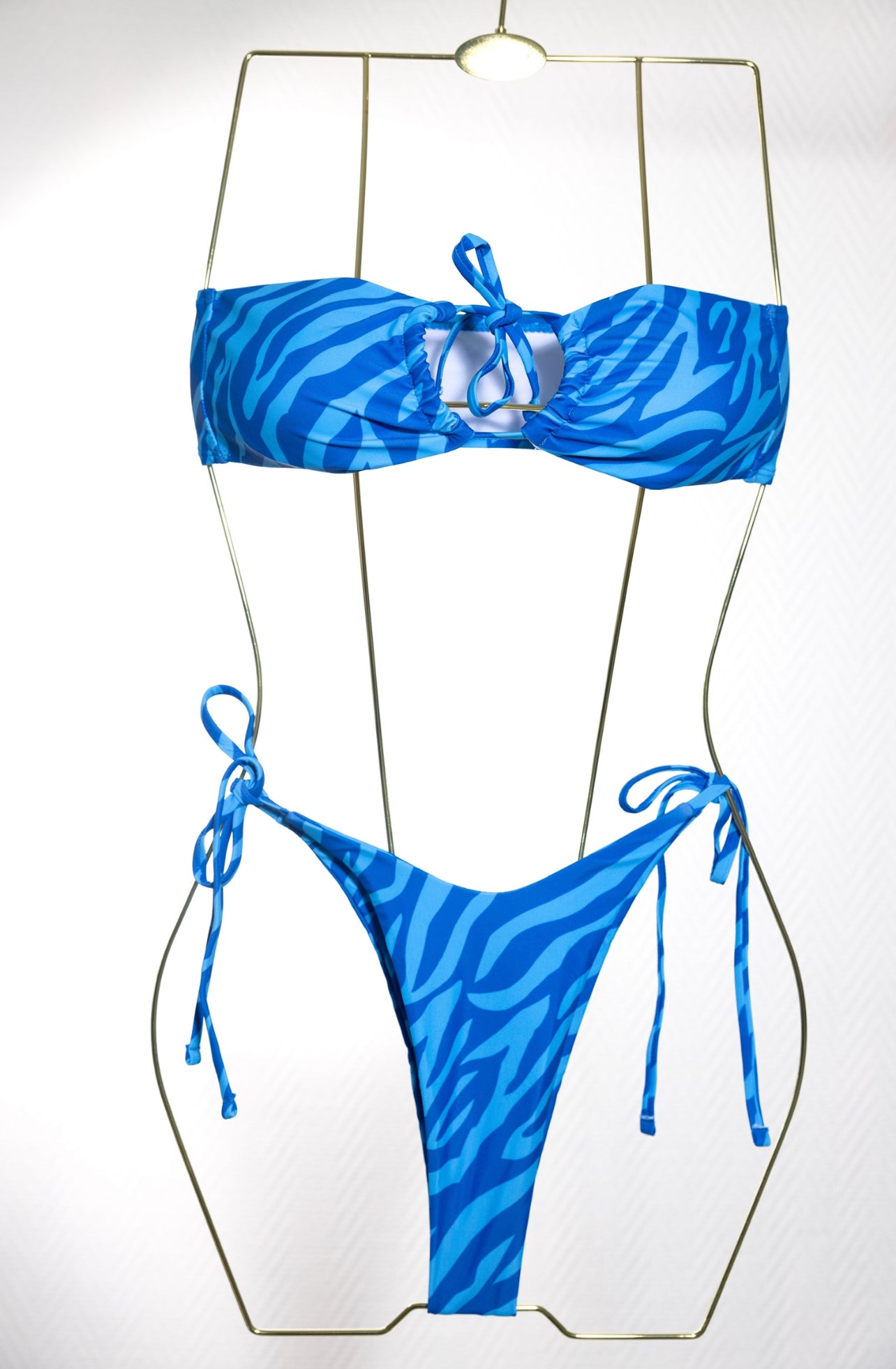 Blue Zebra